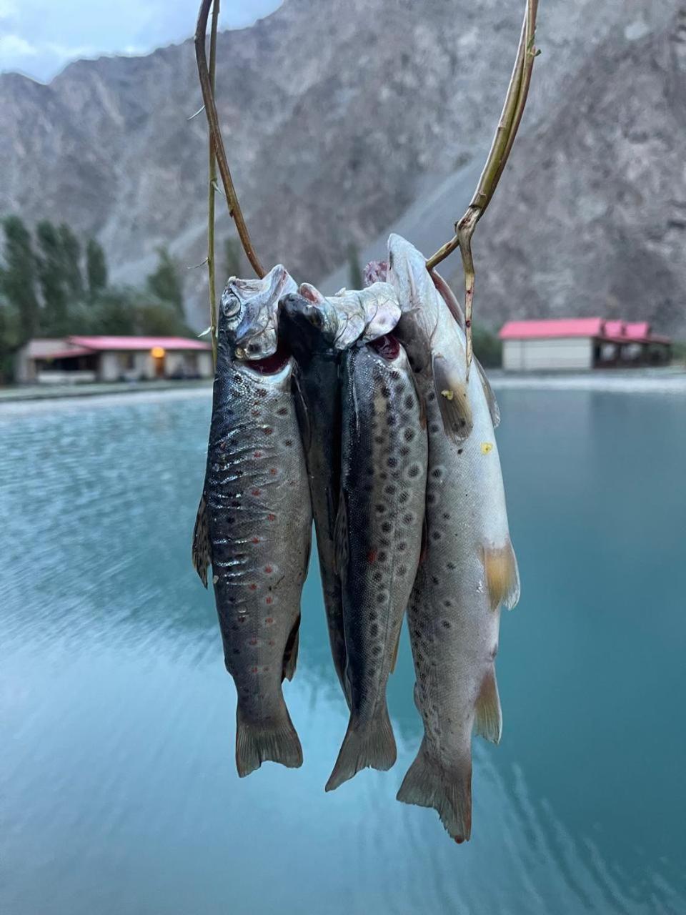 Dream Nest Resorts Skardu Exterior foto